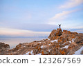A man stands on the top of a cliff. A traveler stands on the top of a mountain and looks at the sea. Beautiful documentary landscape. Beautiful nature with a rocky mountain and a lake	 123267569