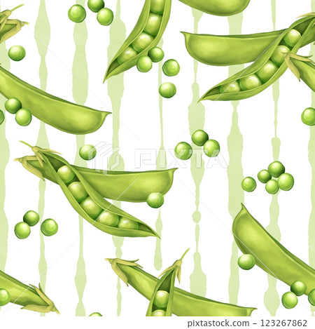 Green peas vegetable on striped background. Seamless pattern. 123267862