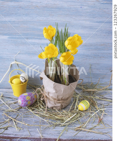 Easter eggs, yellow crocuses in a pot, hay on a wooden table. Easter interior decoration for Easter. 123267929