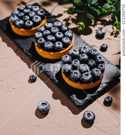 Delicious blueberry tarts displayed on a black slate platter 123268758