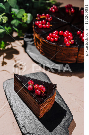 Delicious chocolate cake slice garnished with berries on slate plate 123269081
