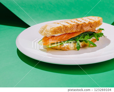 Salmon, arugula, and cucumber sandwich on green Salmon, arugula, and cucumber sandwich on green 123269104