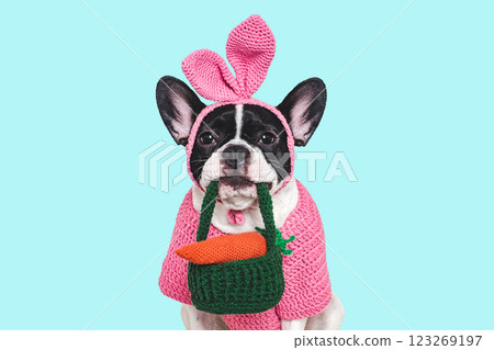 Cute puppy, felt carrot and knitted bunny ears Cute puppy, felt carrot and knitted bunny ears 123269197