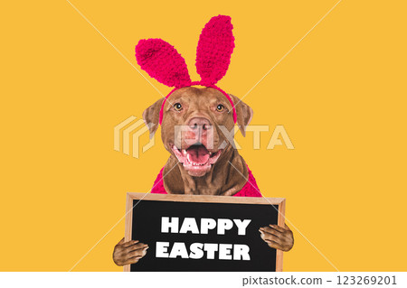 Happy Easter. Cute dog and congratulatory inscription Happy Easter. Cute dog and congratulatory inscription 123269201