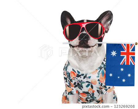 Charming, sweet puppy and Australian Flag. Studio shot Charming, sweet puppy and Australian Flag. Studio shot 123269208
