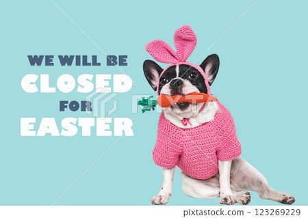 Happy Easter. Cute puppy and congratulatory inscription Happy Easter. Cute puppy and congratulatory inscription 123269229