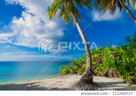 Coconut palm beach on Maldives. Tropical holidays banner with blue ocean on sunny day 123269717