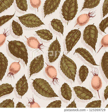 Wild rose flowers drawing and sketch with pointillism. Vintage pattern of branch with rosehip fruits and leaves. 123269729