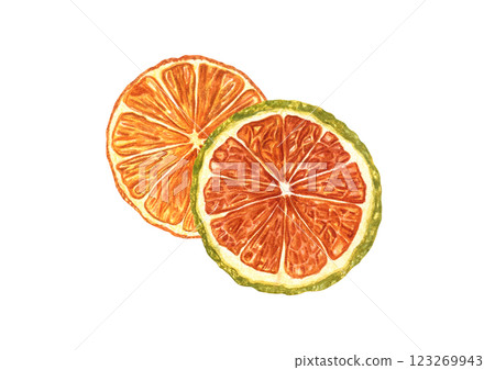 Two dried Orange fruit slices watercolor illustration isolated background. Citrus ingredients for mulled wine or alcohol free drink decor. Package of cosmetic or food. Natural Christmas decoration Two dried Orange fruit slices watercolor illustration isolated background. Citrus ingredients for mulled wine or alcohol free drink decor. Package of cosmetic or food. Natural Christmas decoration 123269943