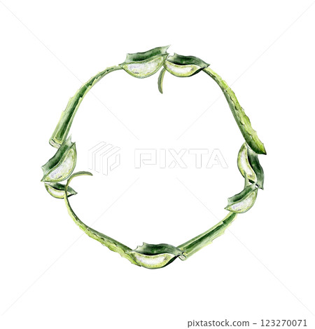 watercolor wreath with fresh aloe vera leaf, cut sections 123270071