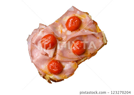 Sandwich with brioche, meat, melted cheese, ham, tomatoes, salt, spices and herbs Sandwich with brioche, meat, melted cheese, ham, tomatoes, salt, spices and herbs 123270204