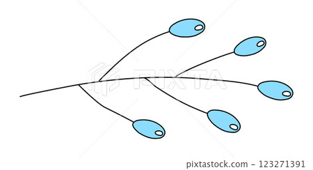Small blue flax lily or dianella flowers or berries on branch, doodle style vector 123271391