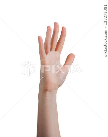 Female hand raised with palm outward, fingers slightly spread apart in a gesture of greeting, waving Female hand raised with palm outward, fingers slightly spread apart in a gesture of greeting, waving 123272381