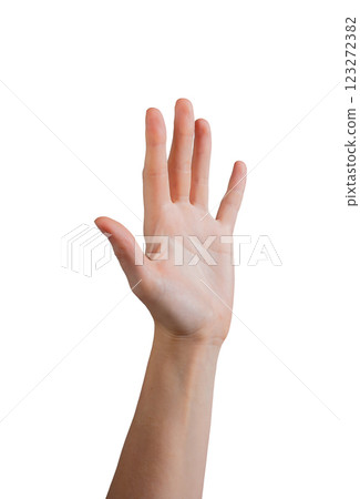 Female hand raised with palm outward, fingers spread apart in a gesture of stop, greeting, or Female hand raised with palm outward, fingers spread apart in a gesture of stop, greeting, or 123272382