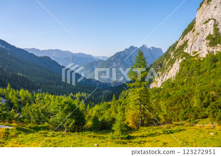 The Julian Alps in Slovenia showcase breathtaking landscapes, with rolling green hills, tall trees, and rocky mountain peaks under a clear blue sky during the late afternoon hours. 123272951