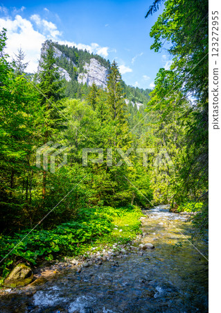 In the Demanovka River Valley, crystal-clear waters meander through rich greenery, surrounded by towering cliffs and vibrant forest life under a bright blue sky. 123272955
