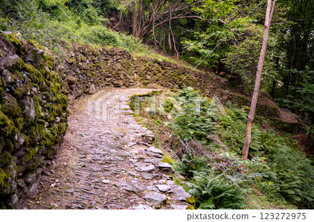 Winding through lush greenery and ancient stone walls, the Wayfarers Path offers hikers stunning views and a connection to nature along the eastern shore of Lake Como. 123272975