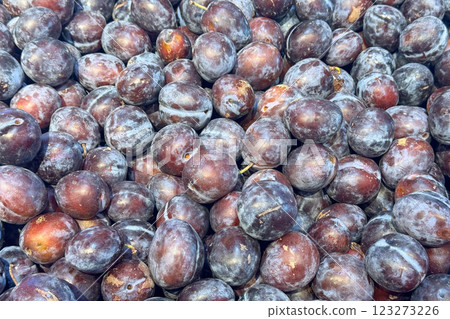 fresh, ripe plums with deep purple and reddish hues displayed in a grocery store 123273226
