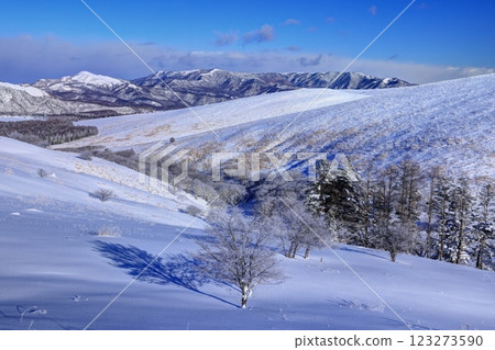 Rime in Kurumayama Marsh 123273590