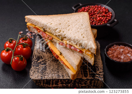 Sandwich with ham, salami, tomatoes, mustard, salt and spices Sandwich with ham, salami, tomatoes, mustard, salt and spices 123273855