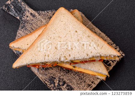 Sandwich with ham, salami, tomatoes, mustard, salt and spices 123273859