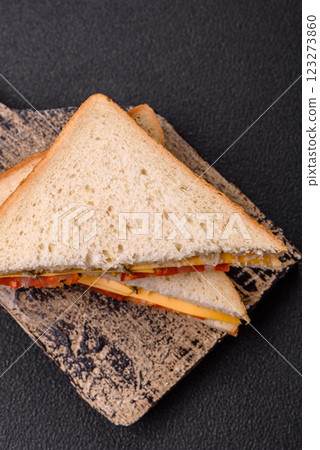 Sandwich with ham, salami, tomatoes, mustard, salt and spices Sandwich with ham, salami, tomatoes, mustard, salt and spices 123273860