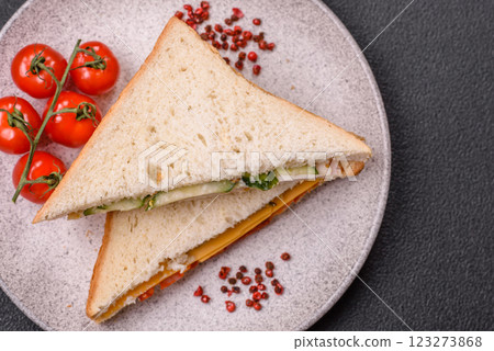 Sandwich with ham, salami, tomatoes, mustard, salt and spices Sandwich with ham, salami, tomatoes, mustard, salt and spices 123273868
