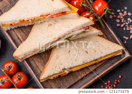 Sandwich with ham, salami, tomatoes, mustard, salt and spices Sandwich with ham, salami, tomatoes, mustard, salt and spices 123273879