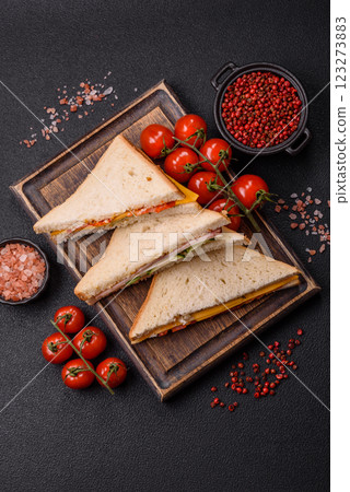 Sandwich with ham, salami, tomatoes, mustard, salt and spices Sandwich with ham, salami, tomatoes, mustard, salt and spices 123273883