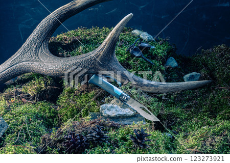 Tourist folding knife on moss. Forest and knife. Knife for tourism and travel. Outdoor knife. 123273921