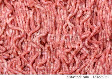 Fresh raw ground minced beef with salt and spices Fresh raw ground minced beef with salt and spices 123273960