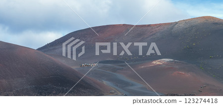 Journey Through the Volcanic Landscape on Camels Journey Through the Volcanic Landscape on Camels 123274418