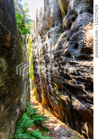 A narrow passage carved through sandstone rock features lush ferns along the base. Sunlight filters through the opening, highlighting the unique textures of the stone. 123275424
