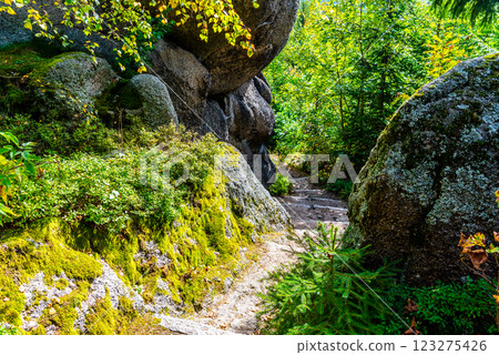 A winding path navigates through a vibrant landscape of moss-covered rocks, surrounded by tall, lush trees. Sunlight filters through the leaves, creating a serene atmosphere. A winding path navigates through a vibrant landscape of moss-covered rocks, surrounded by tall, lush trees. Sunlight filters through the leaves, creating a serene atmosphere. 123275426