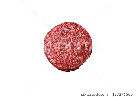 Fresh raw ground beef burger patty with salt and spices Fresh raw ground beef burger patty with salt and spices 123275566