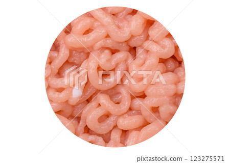 Raw minced chicken with salt, spices and herbs Raw minced chicken with salt, spices and herbs 123275571
