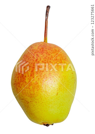 Ripe yellow and red pear isolated on white. Ripe yellow and red pear isolated on white. 123275661