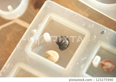 Close up of shells in a silicone mold with water droplets in soft daylight Close up of shells in a silicone mold with water droplets in soft daylight 123275990