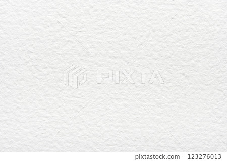 Textured white paper surface with fine grain pattern and subtle fibers Textured white paper surface with fine grain pattern and subtle fibers 123276013