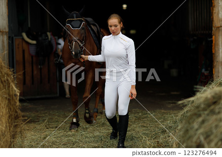 Woman rider jockey at stable preparing horse racing or jumping competition 123276494