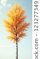 Vibrant Autumn Tree Phone Wallpaper Featuring Stunning Orange Leaves 123277349
