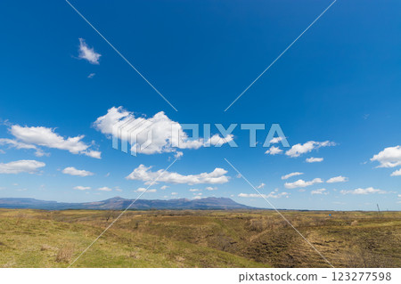 Blue sky and cherry blossoms (Kuju Plateau, Taketa City, Oita Prefecture) 123277598