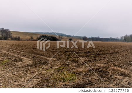landscape. agricultural fields in winter 123277756
