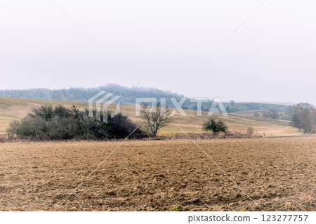 landscape. agricultural fields in winter 123277757