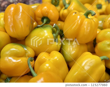 The vegetable market sells a lot of yellow organic bell peppers or capsicum in sorting boxes. Against the background of a pile of sweet bell peppers. Close-up. The vegetable market sells a lot of yellow organic bell peppers or capsicum in sorting boxes. Against the background of a pile of sweet bell peppers. Close-up. 123277860