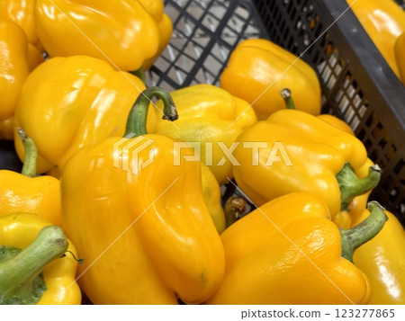 The vegetable market sells a lot of red organic bell peppers or capsicum in sorting boxes. Against the background of a pile of sweet bell peppers. Close-up. The vegetable market sells a lot of red organic bell peppers or capsicum in sorting boxes. Against the background of a pile of sweet bell peppers. Close-up. 123277865