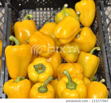 The vegetable market sells a lot of yellow organic bell peppers or capsicum in sorting boxes. Against the background of a pile of sweet bell peppers. Close-up. 123277867