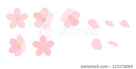 Illustration set of cherry blossoms in full bloom Cute hand-drawn spring flower material Illustration set of cherry blossoms in full bloom Cute hand-drawn spring flower material 123278064
