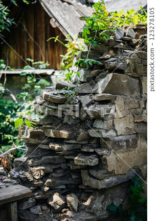 Ruined stone wall with plants 123278105