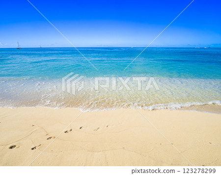 夏季、大海和海灘圖像夏威夷 123278299